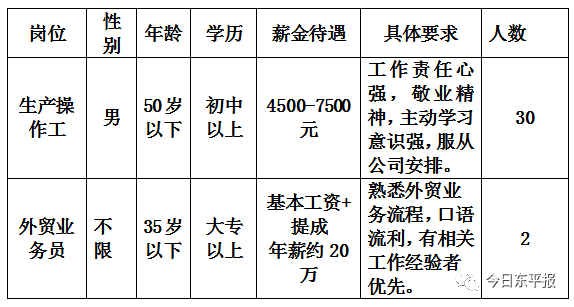 鲁山最新招聘信息揭秘，小巷中的职业机遇等你来探索！