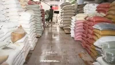 小麦最新价格走势，市场趋势、影响因素与案例分析深度解析
