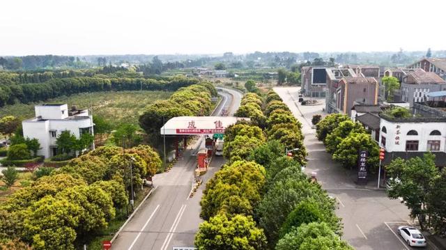 最新规范查询，轻松探索自然美景的旅程