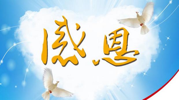 谢谢你来了最新，心灵与情感的深度对话之夜