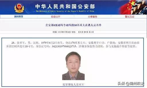 网上通缉犯名单最新深度解析与探讨要点
