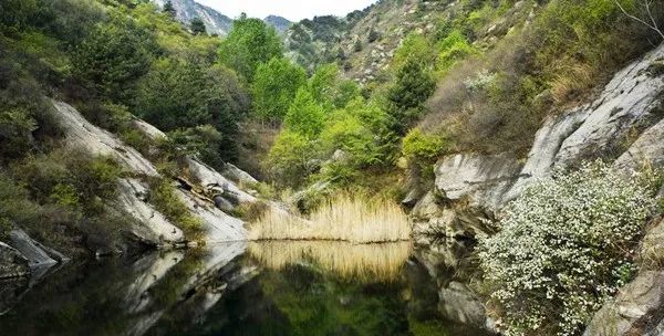 灵寿最新招聘，探索自然美景之旅，寻找内心的平和宁静之旅