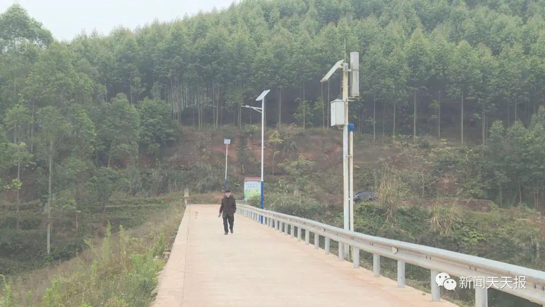 四川乐山最新动态，自然美景探索之旅，寻找内心平和的启程