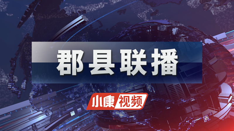 最新电鱼视频，现代渔业中的电鱼技术与生态挑战探索