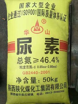 最新尿素价格行情动态更新报告