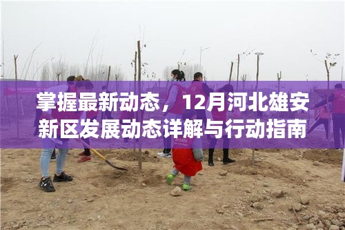 雄县新闻最新动态及获取理解步骤指南