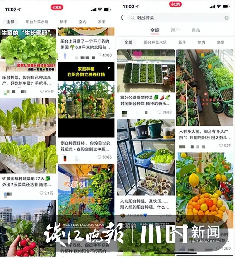 女式运动套装最新款，变化的力量，展现自信与成就感的时尚源泉