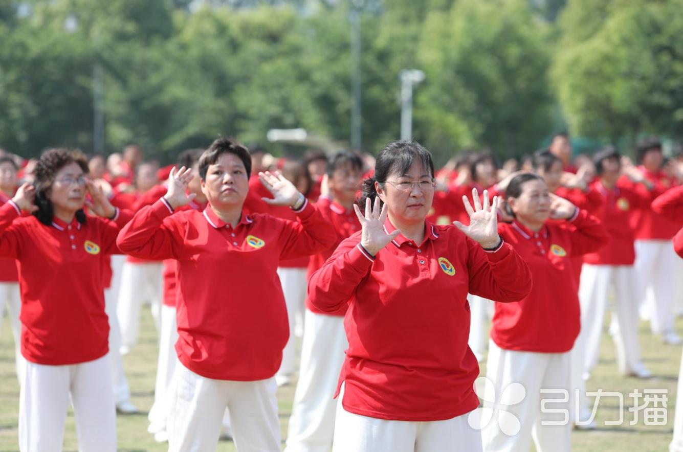 太仓小巷深处的隐藏瑰宝，特色小店惊喜之旅最新报道