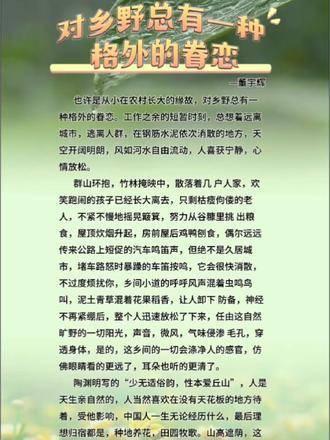 关于乡村乱情的最新论述观点分析及其涉黄问题的探讨