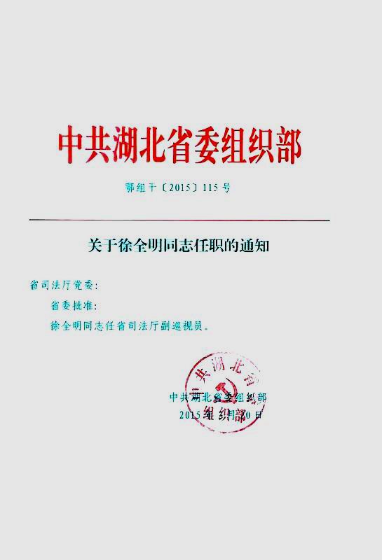 湖北组织部最新公示消息发布