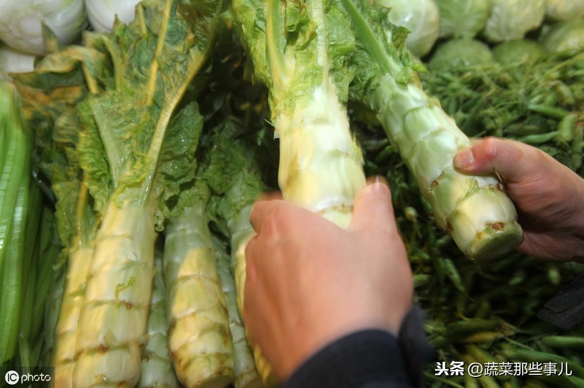 西兰花价格大揭秘，最新行情更新🌱