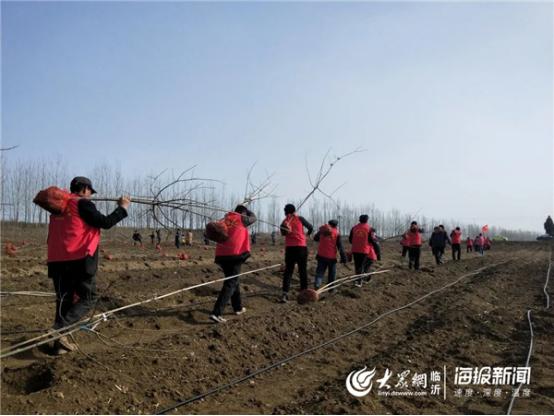 兰陵县最新高科技产品引领未来，改善生活品质的新闻动态