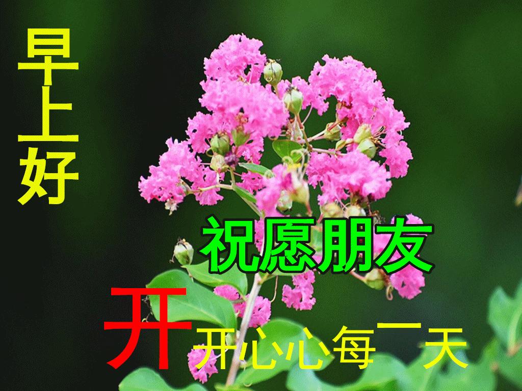 最新早安心语智能闹钟，唤醒你的科技新生活每一天