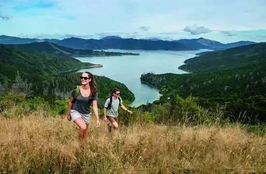 自然美景的心灵之旅，探索最新地址的魅力