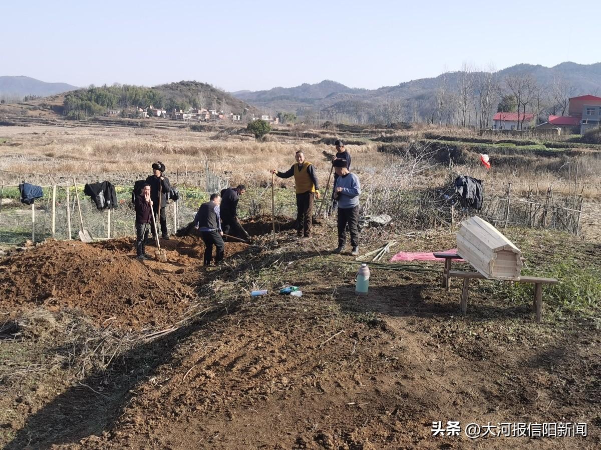 立伟网络科技 第164页
