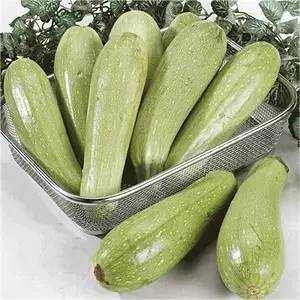 西葫芦最新价格行情，变化中的学习助力实现梦想与自信提升