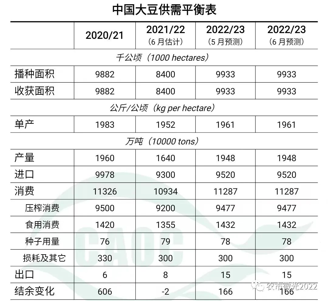 进口大豆价格最新行情全面解析与深度探讨