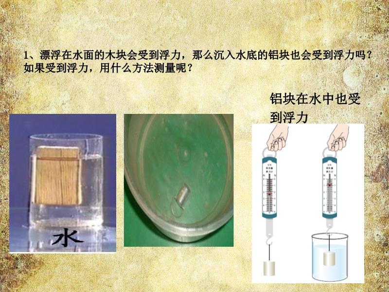 探索浮力魅力的最新视频揭秘