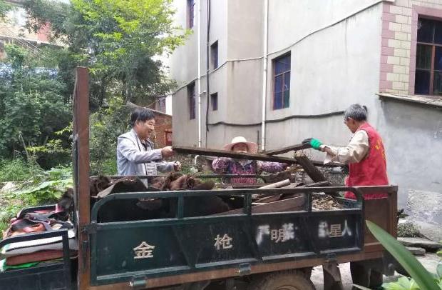 西平县最新招聘信息探索，小巷里的职业机遇