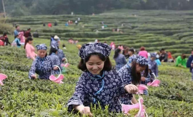 巴中最新新闻概览，最新动态一网打尽