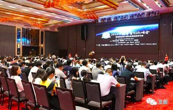 盈江最新招聘信息揭秘，科技革新引领职场新篇章