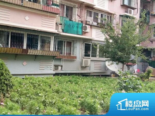 塘沽房价动态，家的温暖与最新房价信息