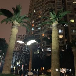 宁波北仑最新房价揭秘，小巷深处的隐藏宝藏与独特风情