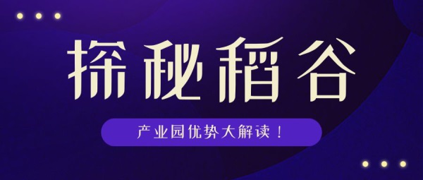 枝江招聘网最新招聘，科技引领未来，点亮职场之路