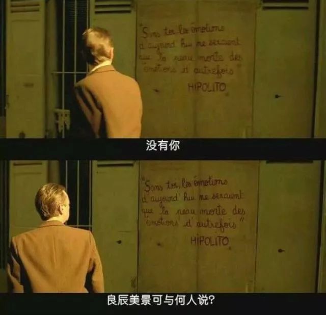 最新电影R片揭示自然美景的奇妙之旅与启示