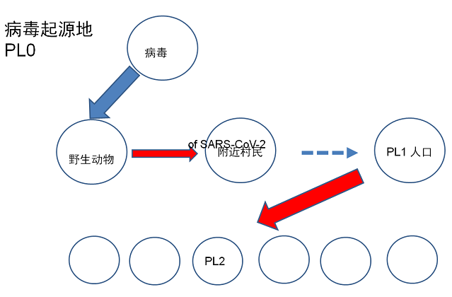 最新病毒溯源，探寻病毒起源与演变之路