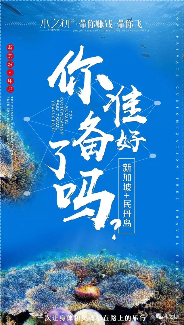 叙利亚最新动态与探索自然美景之旅，追寻内心的平和