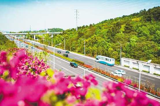 渝航大道最新动态，城市新脉动，交通新篇章