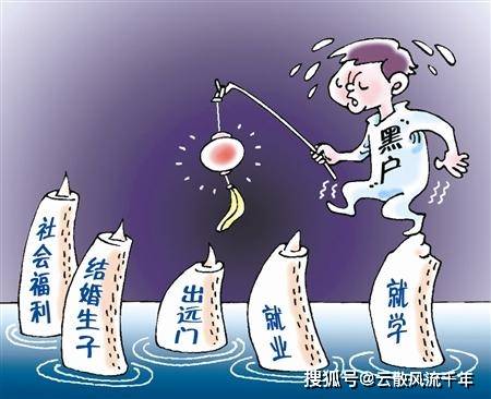 最新好东西的多角度审视与探讨
