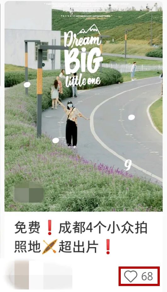 网红最新拍照现象，多维视角探究