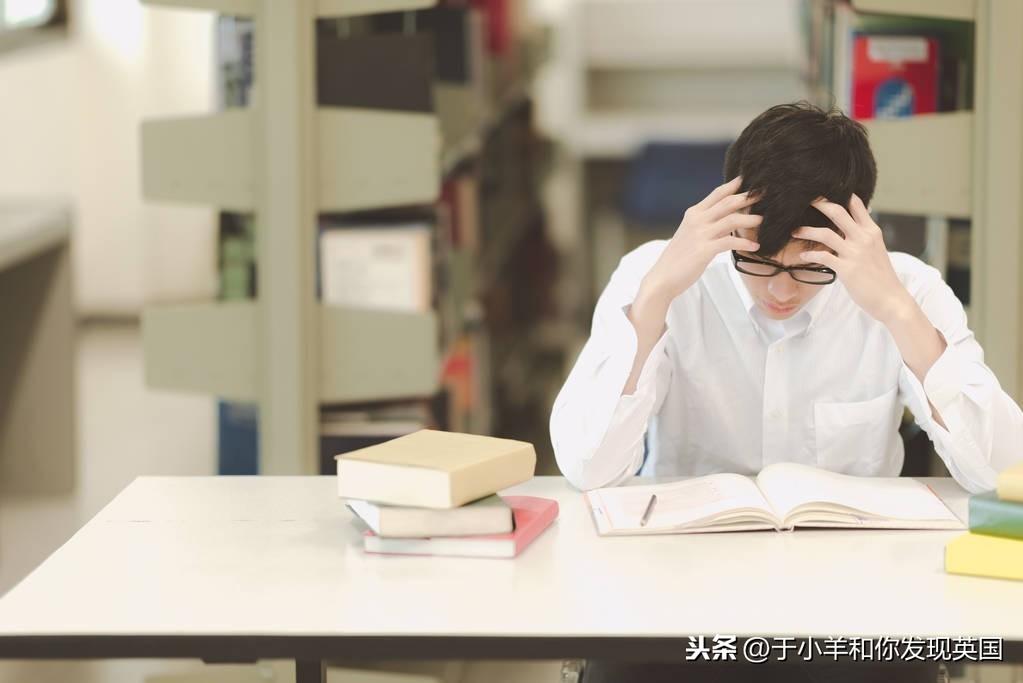 免费下载浏览器最新版，利弊分析与个人体验分享