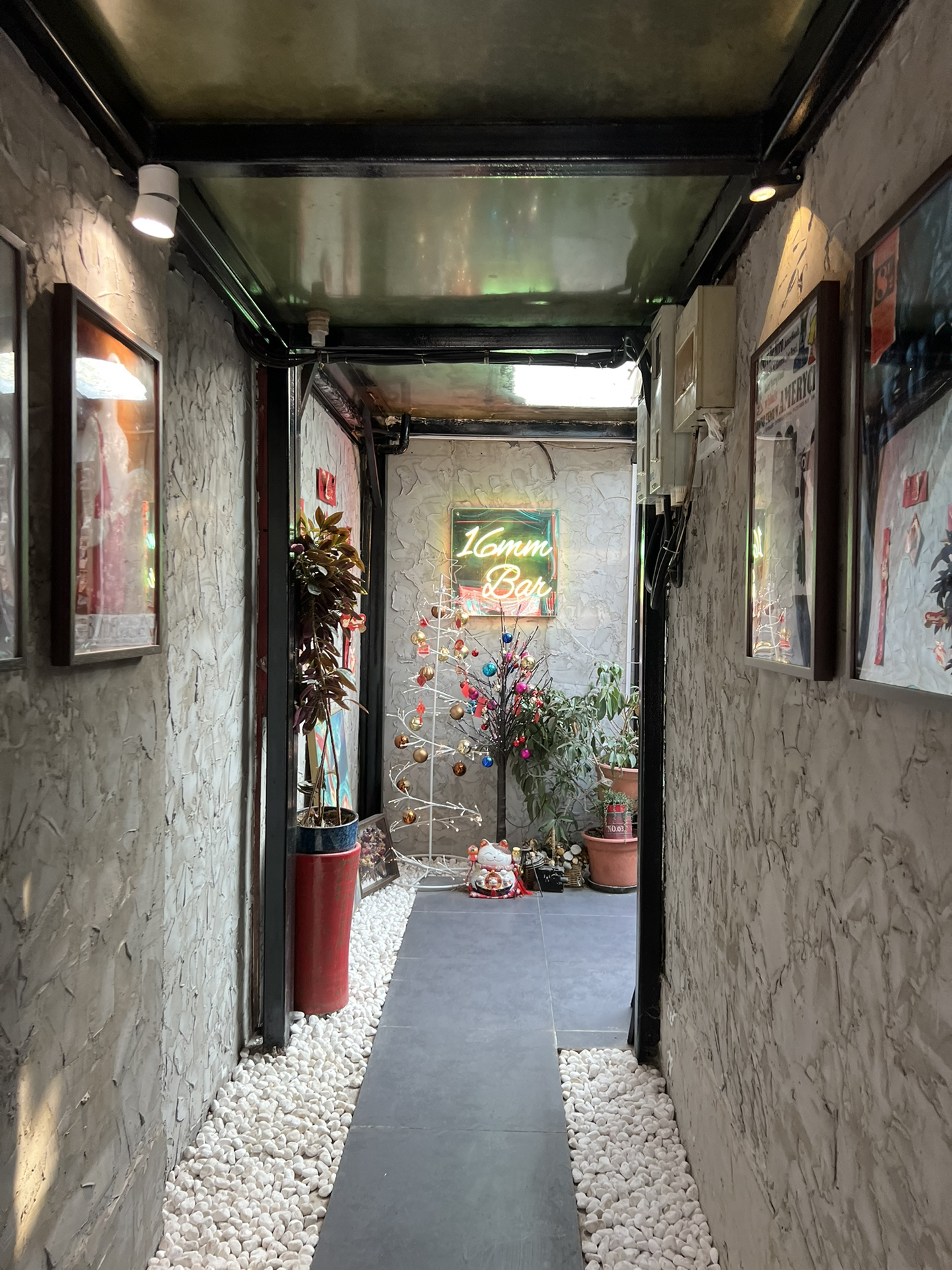 最新中卡探索，小巷中的特色小店惊喜