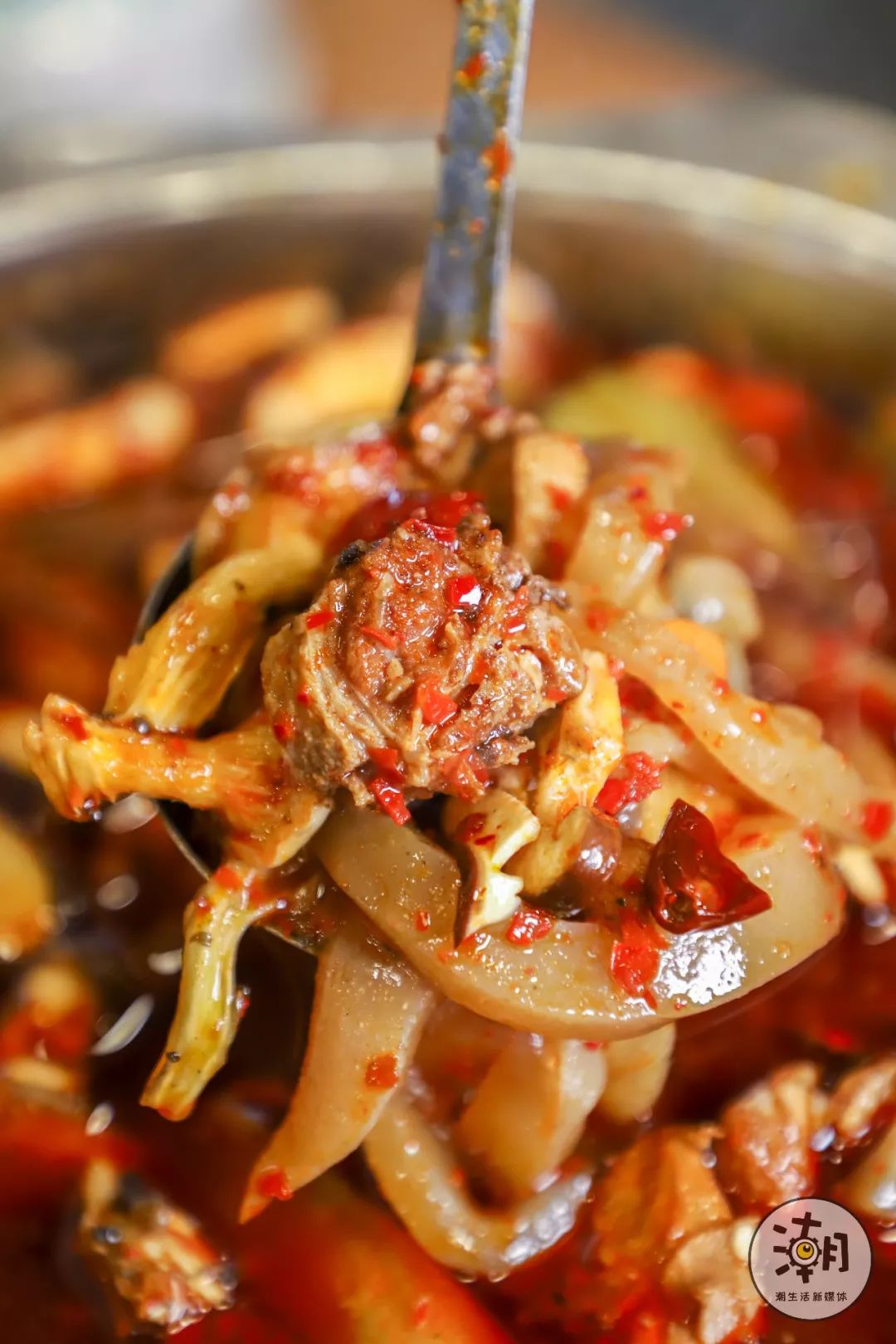 美食探索