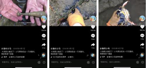 小马赶海新发现，变化、学习与成就的力量之旅