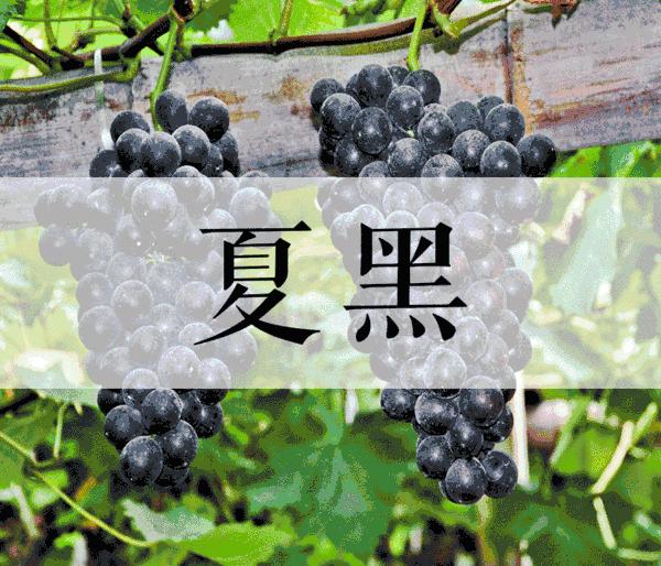 句容山水网最新招聘信息发布