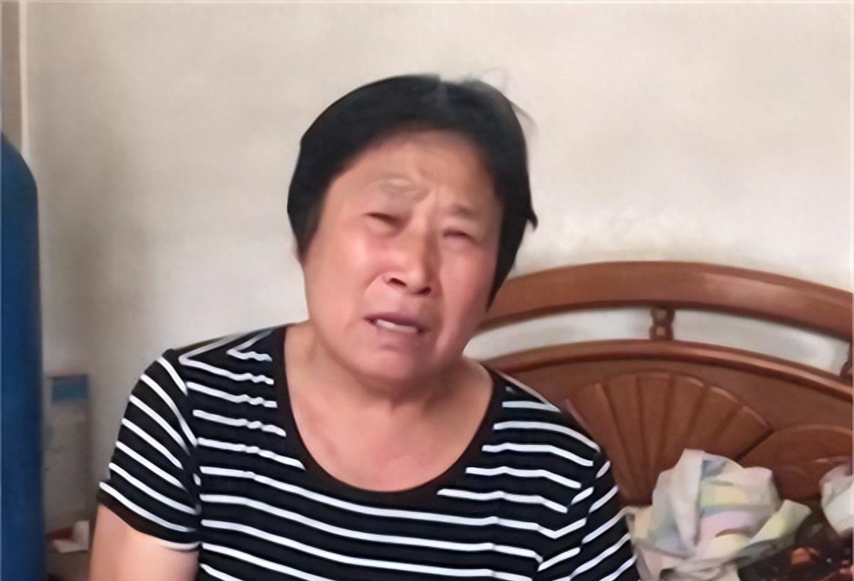 欠款不还最新立法详解，步骤指南与应对之策