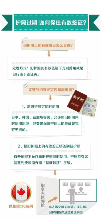 护照最新版申请指南，初学者与进阶用户通用参考手册