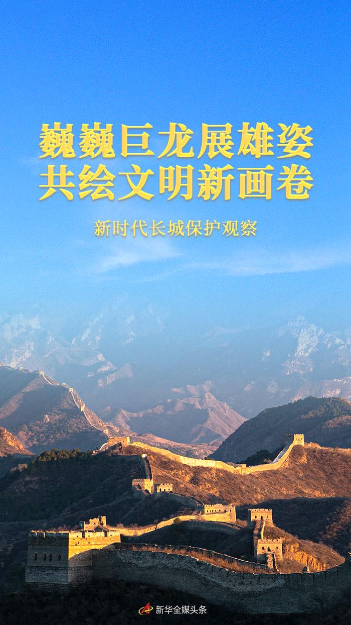 神州长城最新动态，家的温馨日常与最新消息解读