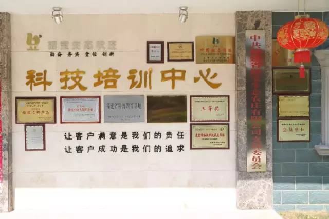 万荣最新招聘信息探索，小巷特色招聘之旅