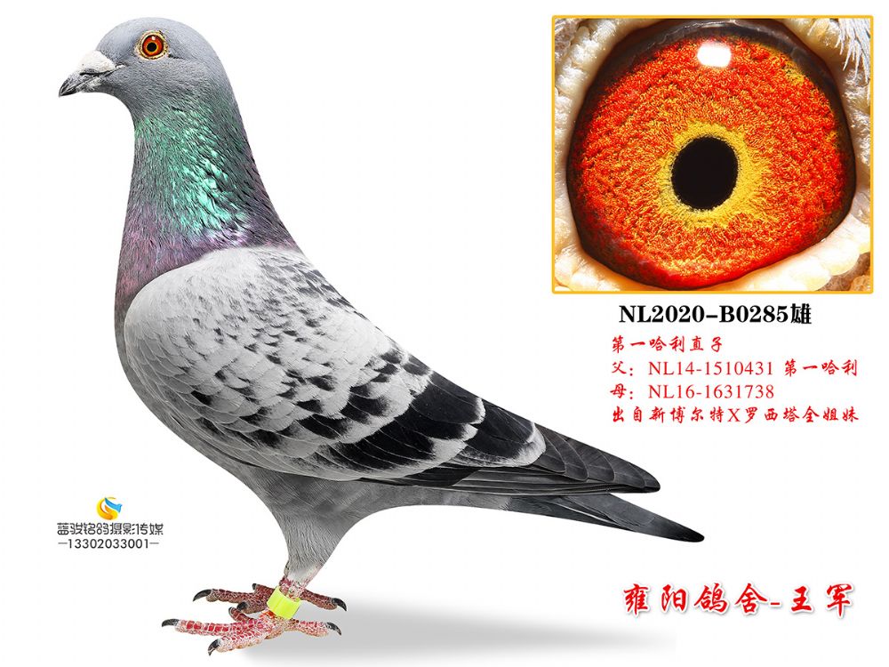 办公设备 第64页