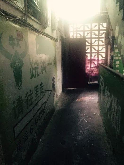 特色小店的魅力之旅，隐秘宝藏藏于小巷之中，最新版的家探访之旅