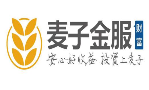 麦子金服最新动态，获取金融信息服务技能的全方位指南