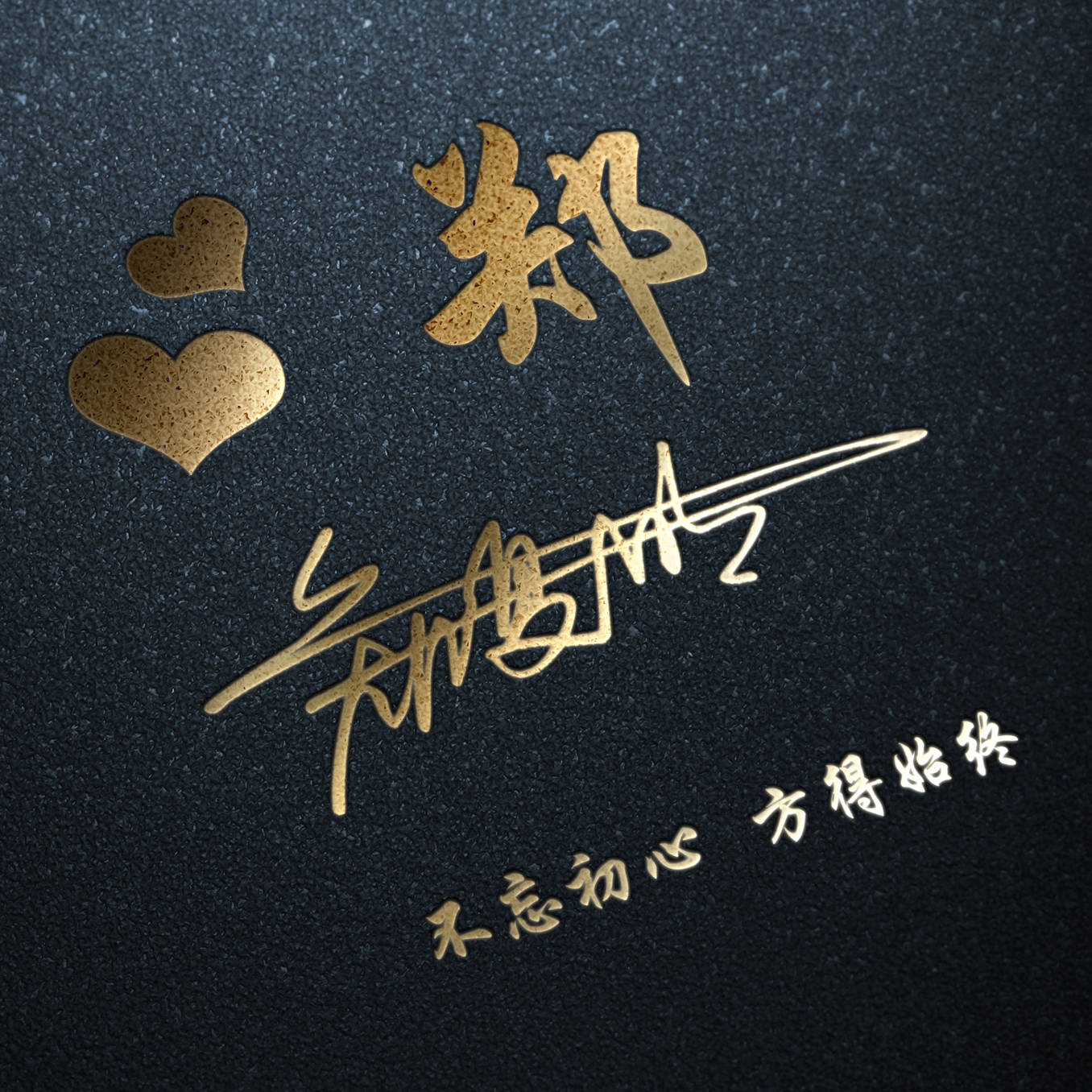 自信与成就感的旅程，最新签名女风采展示