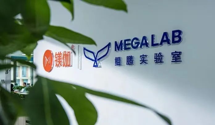 明德生物最新动态，友情与陪伴的温馨日常力量