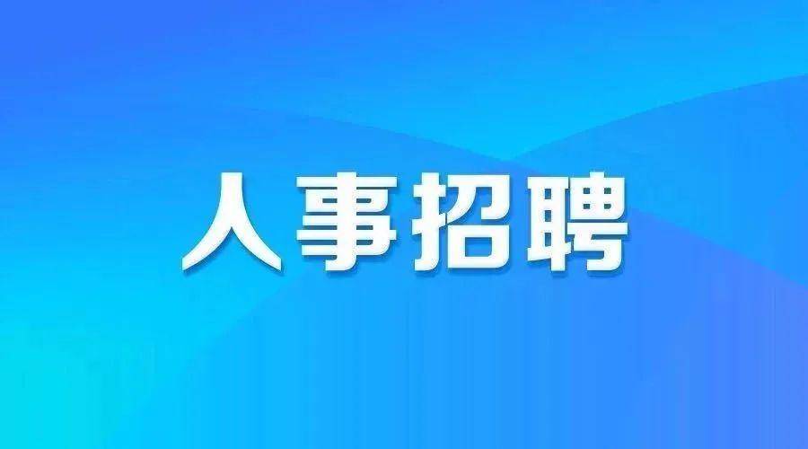 乐从招聘网最新招聘，城市求职奇遇与友情的绽放之旅