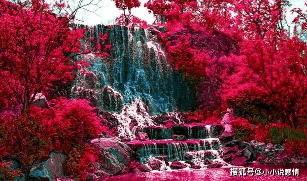 最新仙逆，自然美景之旅，探寻内心平和与喜悦的旅程
